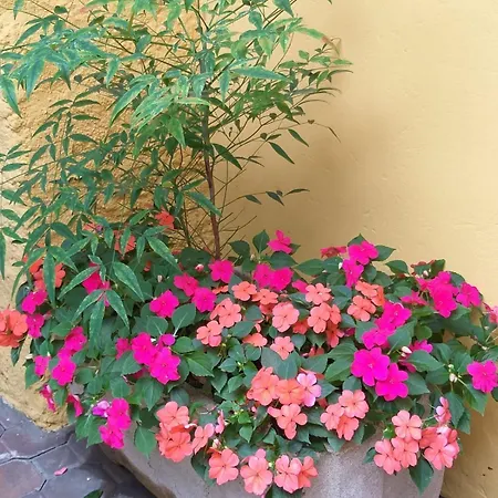 La Casa Sul Holiday home Angera